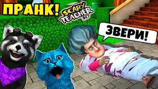 ПРАНКИ над ЗЛОЙ УЧИТЕЛЬНИЦЕЙ Мисс Ти Scary Teacher 3D КОТЁНОК ЛАЙК и ЕНОТИК СТИВ