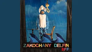 Zakochany delfin