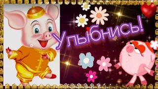 🎶ВЕСЁЛОЕ ВИДЕО🦋 МУЗЫКАЛЬНЫЙ ПРИВЕТИК 💙УЛЫБНИСЬ ~ ДЛЯ НАСТРОЕНИЯ 💃 #Музыкальная открытка #