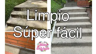 Cómo lavar Moho o lama de tus pisos, patios y aceras / limpia conmigo / tips / lavar pisos