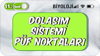 11. Sınıf Biyoloji Dolaşım Sistemi PÜF NOKTALARIYLA TEKRAR 🔂