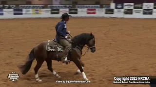 Hendrixx shown by John Swales   2023 celebration of champions Open Hackamore, prelims