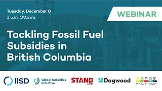 Webinar | Tackling Fossil Fuel Subsidies In British Columbia