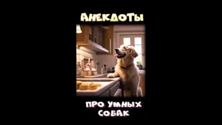 Анекдоты про МУДРЫХ СОБАК