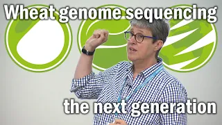 Catherine Feuillet: Next generation wheat genome sequencing