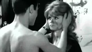Brigitte Bardot tribute