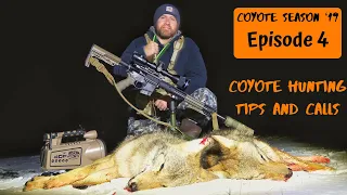 Coyote Hunting Tips and Call Sequences | Using Pulsar Thermion