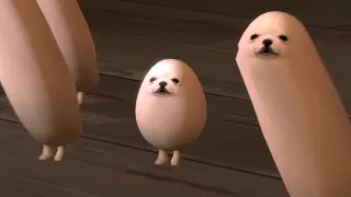 meet eggdog