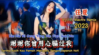 任夏 - 谢谢你曾用心骗过我 - (Dj小九 Electro Remix 2023) - Xie Xie Ni Ceng Yong Xin Pian Guo Wo #dj抖音版2023