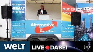 BRANDENBURG: Verfassungsschutz stellt AfD unter Beobachtung