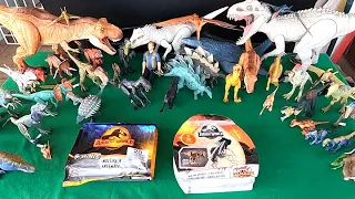 Mais de 50 Dinossauros de Brinquedos Jurassic World, Jurassic Park : Tiranossauro Rex, Indominus Rex