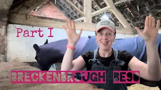 Breckenbrough BE90 - part 1