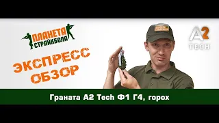 Обзор гранаты A2 Tech Ф1 Г4 с горохом