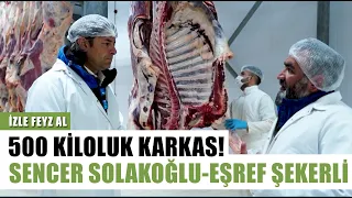 500 Kiloluk Karkas Etler! Sencer Solakoğlu Ve Eşref Şekerli | İzle Feyz Al -  Arşiv