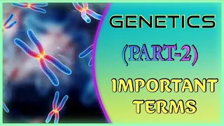 GENETICS (PART-2)//12th CLASS// +2 SCIENCE// NCERT// CBSE// CHSE// NEET // OUAT// AIIMS