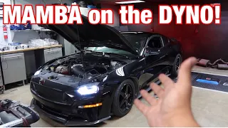 Here’s How much power MAMBA my 8 second Mustang Made on the dyno!