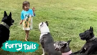 Little girl has her own personal protection dogs 🐕