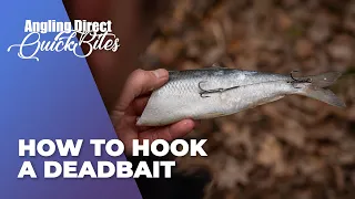 How To Hook A Deadbait - Predator Fishing Quickbite