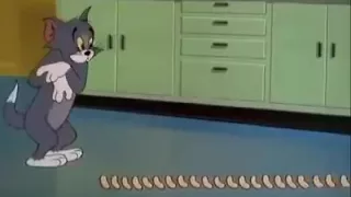 Tom and Jerry  elephant episode