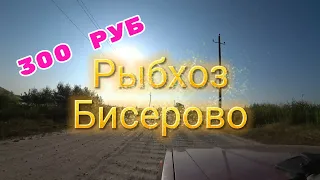 #Рыбхоз На рыбалку с сыном ! Рыбокомбинат в Бисерово.