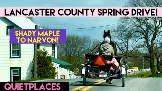 Shady Maple Lancaster County Scenic Drive to Narvon! Spring in Amish Country!