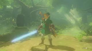 Hero of Time Powers the Master Sword