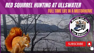 Exploring Stunning Ullswater, Lake District looking for Red Squirrels At Waterfoot Park!