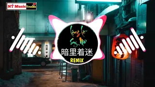 暗里着迷 (DJ弹鼓版) Lặng Lẽ Say Mê Remix (Những Lời Dối Dang, Yêu Trong Mù Quán) || China Mix Tiktok Douyin