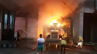 Incêndio estufa Zonta