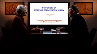 Эпигенетика – молекулярные механизмы | Премьера 22 февраля в 15:00