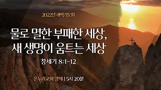 [양재 새벽기도회] 물로 멸한 부패한 세상, 새 생명이 움트는 세상 (창세기 8:1-12)│2022.08.15