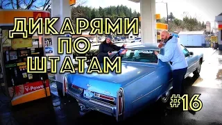 ПОВОРОТ НЕ ТУДА | ДИКАРЯМИ по ШТАТАМ #16 [4K]