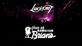 Luci live at Hawaiian Brians