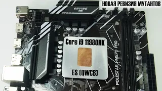 🔥Новая эра мутантов🔥Erying Polestar G613 Pro + Core i9 11980HK (QWCB). Настройка, разгон, нюансы.