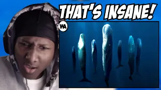 MixWind Reacts To This Is Why No One Ever Sleeps in the Ocean