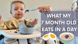 What My 7 Month Old Eats in a Day (Baby Led Weaning & Stage 2 Weaning Recipes) | HomeWithShan