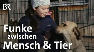 Tiervermittlung am Gnadenhof: Daniela Kienle schaut, ob's funkt | Schwaben & Altbayern | BR