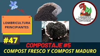 COMPOST FRESCO Y MADURO APRENDE SUS DIFERENCIAS/ lombricultura principiantes/ #47