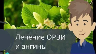 Лечения ОРВИ и ангины. Рецепт с липой