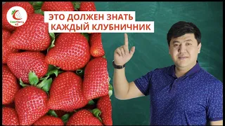 Что такое КСД? Что такое НСД? Что такое Фриго?