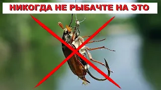 КАТАСТРОФА! Рыбаки НЕ ЗНАЮТ о этой НАСАДКЕ почти ничего…? Очень подробно для начинающих рыбаков.