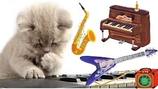 Musical Instruments for Kids – The Little Orchestra | MusicMakers with KIDS & ANIMALS - Baby Teacher