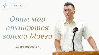 Овцы Мои слушаются голоса Моего – Давид Довыденко | Проповедь