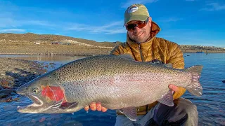Fly Fishing in Patagonia: Monster Rainbow Trout Action at Jurassic Lake