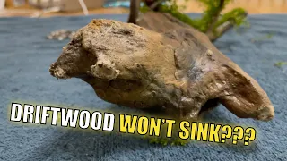 How To Make Stubborn Driftwood Sink In Fish Tank (MY TAKE)