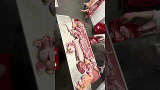 Das kommt alles aus einem halben Schwein!💪🏼🐷🔪