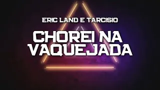 PLAYBACK - CHOREI NA VAQUEJADA - ERIC LAND E TARCISIO (KARAOKÊ)