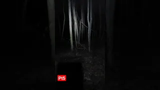 Something was thrown at us in the woods #bigfoot #minnesota #offgrid #unknown