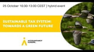 Sustainable tax system: towards a green future