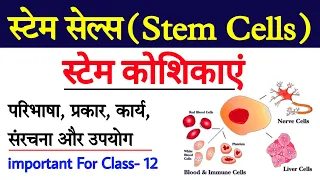 Stem Cells In Hindi | Stem cell definition | Types of stem cells | Uses of stem cell | स्टेम सेल
